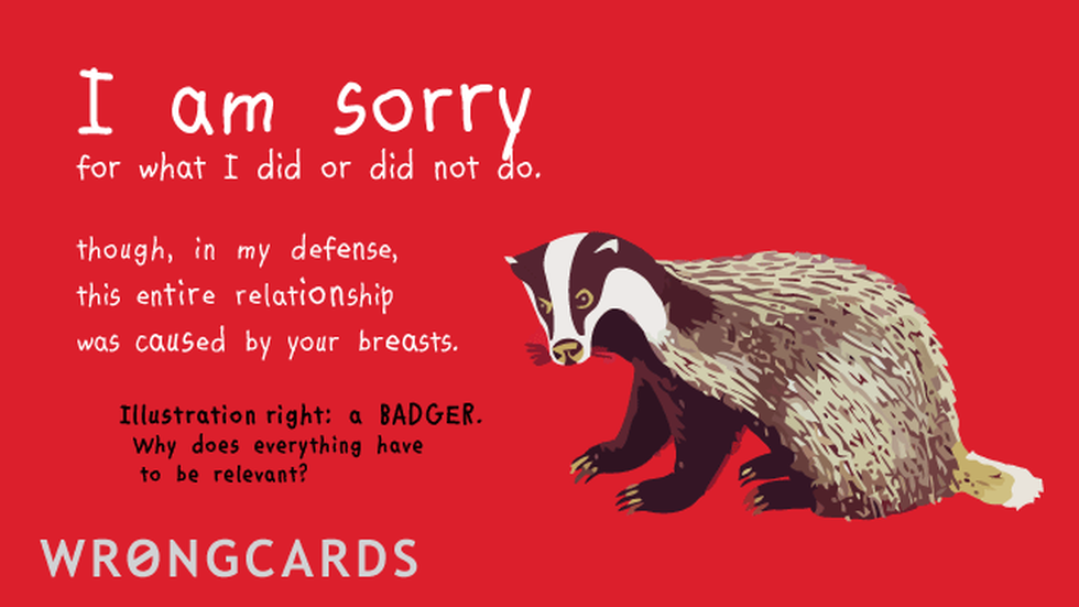 Apology ecard with text: I am sorry for what I did or did not do. Though in my defence this entire relationship was caused by your breasts. (Illustration of badger with the caption - A BADGER. Why does everything have to be relevent?)
