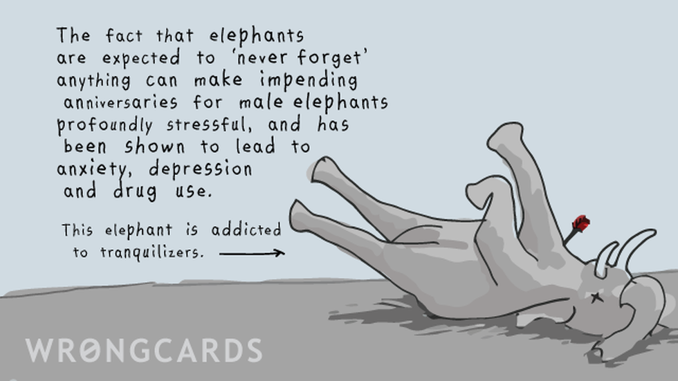 WTF ecard with text: The fact that elephants are expected never to forget anything can make impending anniversaries for male elephants profoundly stressful, and been shown to lead to anxiety, depression and drug use. This elephant (pictured) is addicted to tranquilizers.