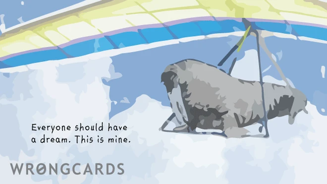 everyone should dream Everyone should have a dream. This is mine. With a picture of a hang gliding walrus.