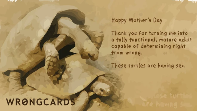 happy turtles Happy Mother's Day. Thank you for turning me into a fully functional, mature adult capable of determining right from wrong. These turtles are having sex.