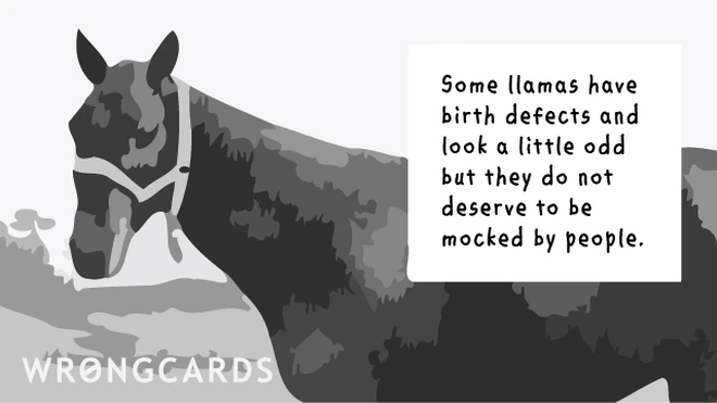 kindness towards llamas Some llamas are born with birth defects and look a little odd but they do not deserve to be mocked by people.